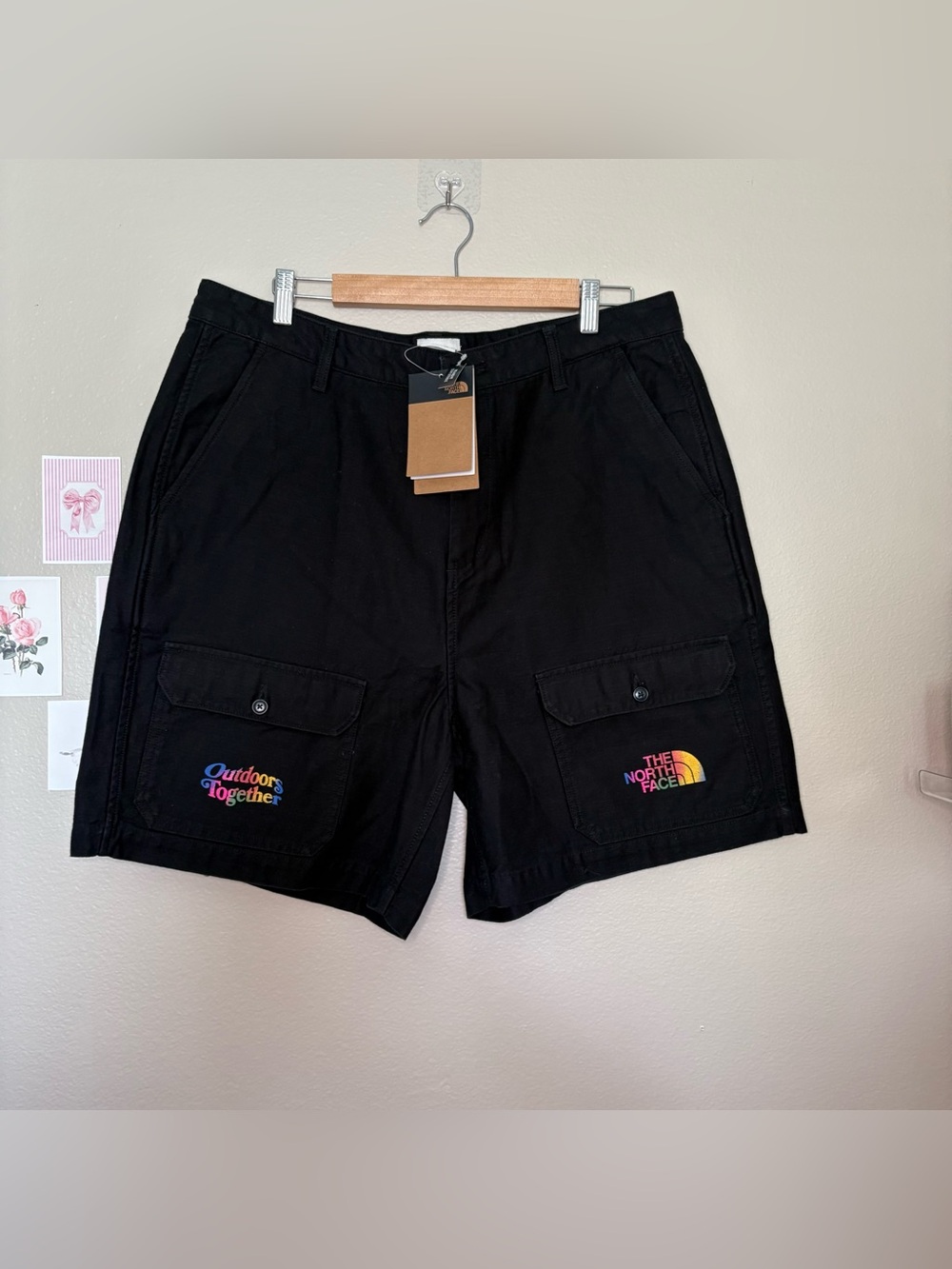 The North Face nwt Unisex Shorts 36 Regular Valley Gorpcore Outdoor Hiking Camp